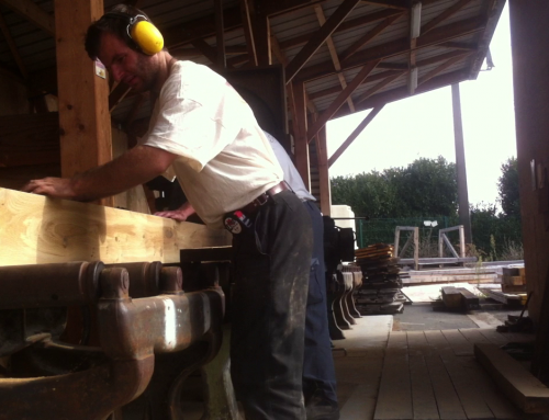 PORTRAIT : Laurent, CHARPENTIER